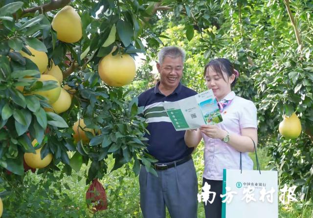 2025年正版资料免费大全,全面释义、解释与落实