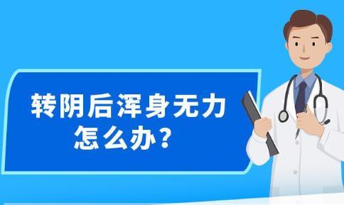 2025新澳精准正版免费大全与香港年免费资料大全和警惕虚假宣传-全面释义、解释与落实