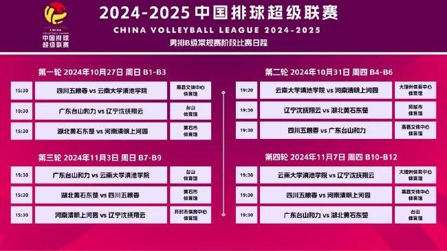 2025精准资料免费大全.与2025新澳精准正版免費資料全面释义、解释与落实与警惕虚假宣传